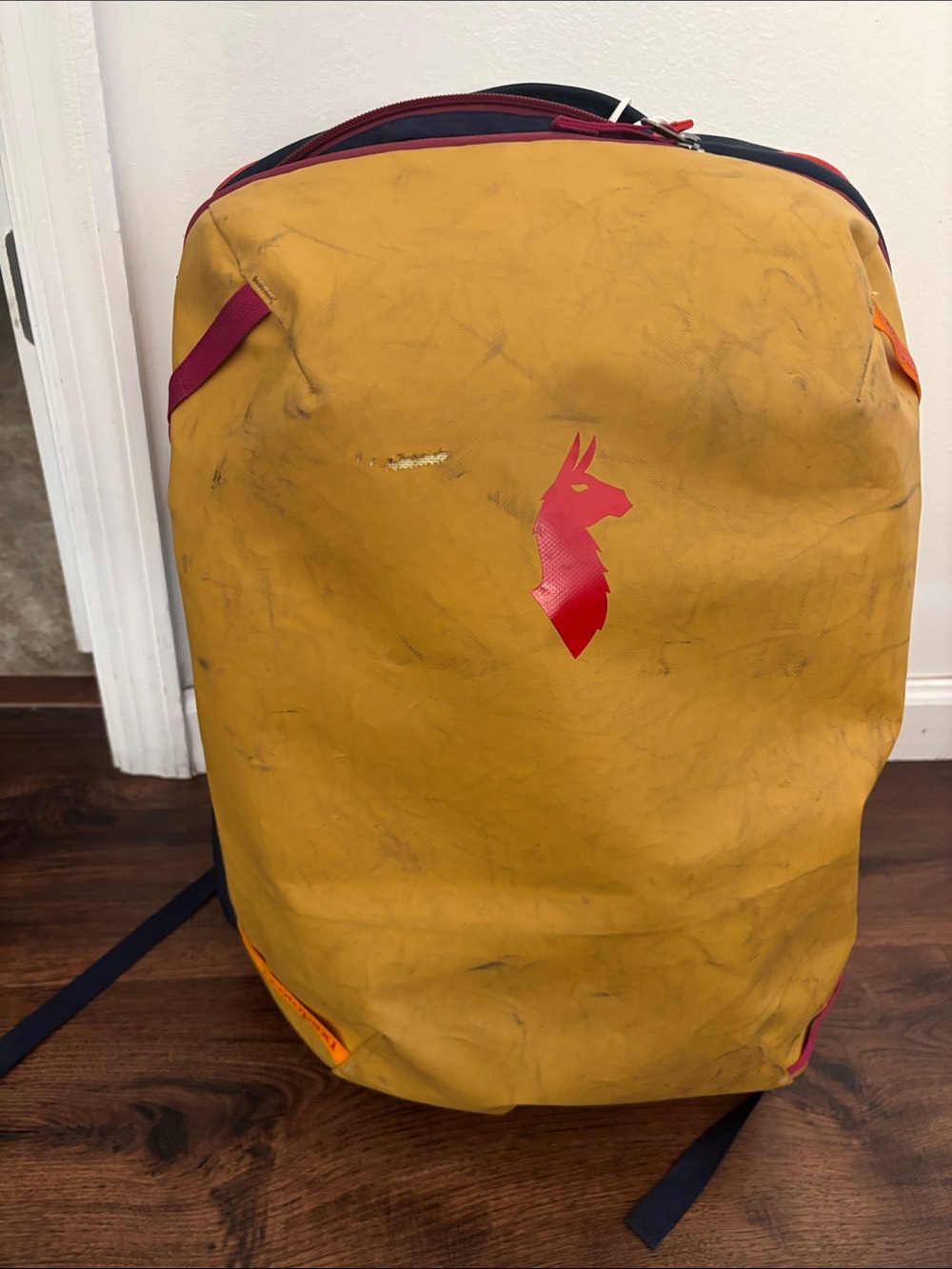 cotopaxi Yellow Backpack with Pink Logo Accent